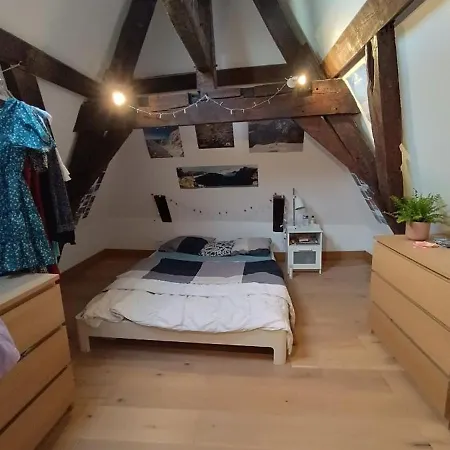 Logement Hyper Centre Ubytování v soukromí *